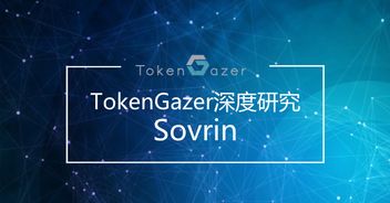 從TokenGazer深度研究看Sovrin 技術落地可期，但大規模推廣之路任重道遠